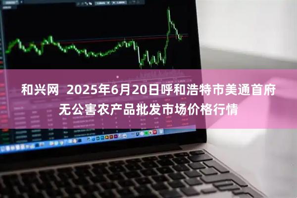 和兴网  2025年6月20日呼和浩特市美通首府无公害农产品批发市场价格行情