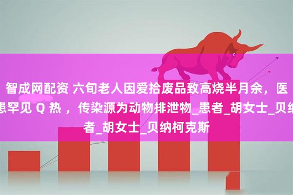 智成网配资 六旬老人因爱拾废品致高烧半月余，医生：系患罕见 Q 热 ，传染源为动物排泄物_患者_胡女士_贝纳柯克斯