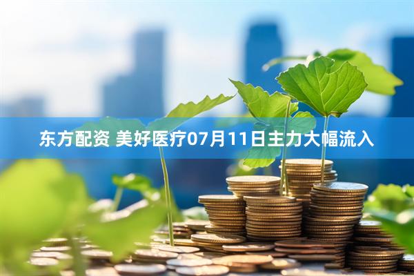 东方配资 美好医疗07月11日主力大幅流入