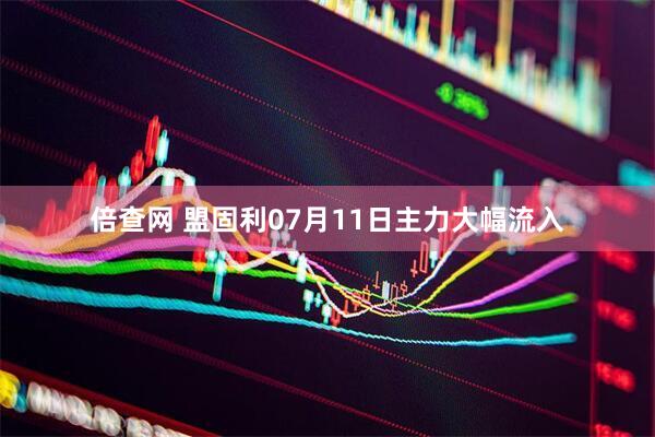 倍查网 盟固利07月11日主力大幅流入